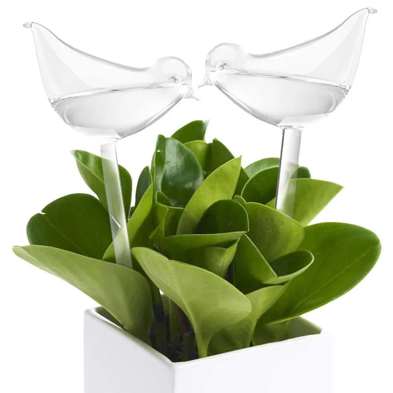 Bombilla Automática de Riego para Plantas – Diseño Fantasía en Forma de Pájaro